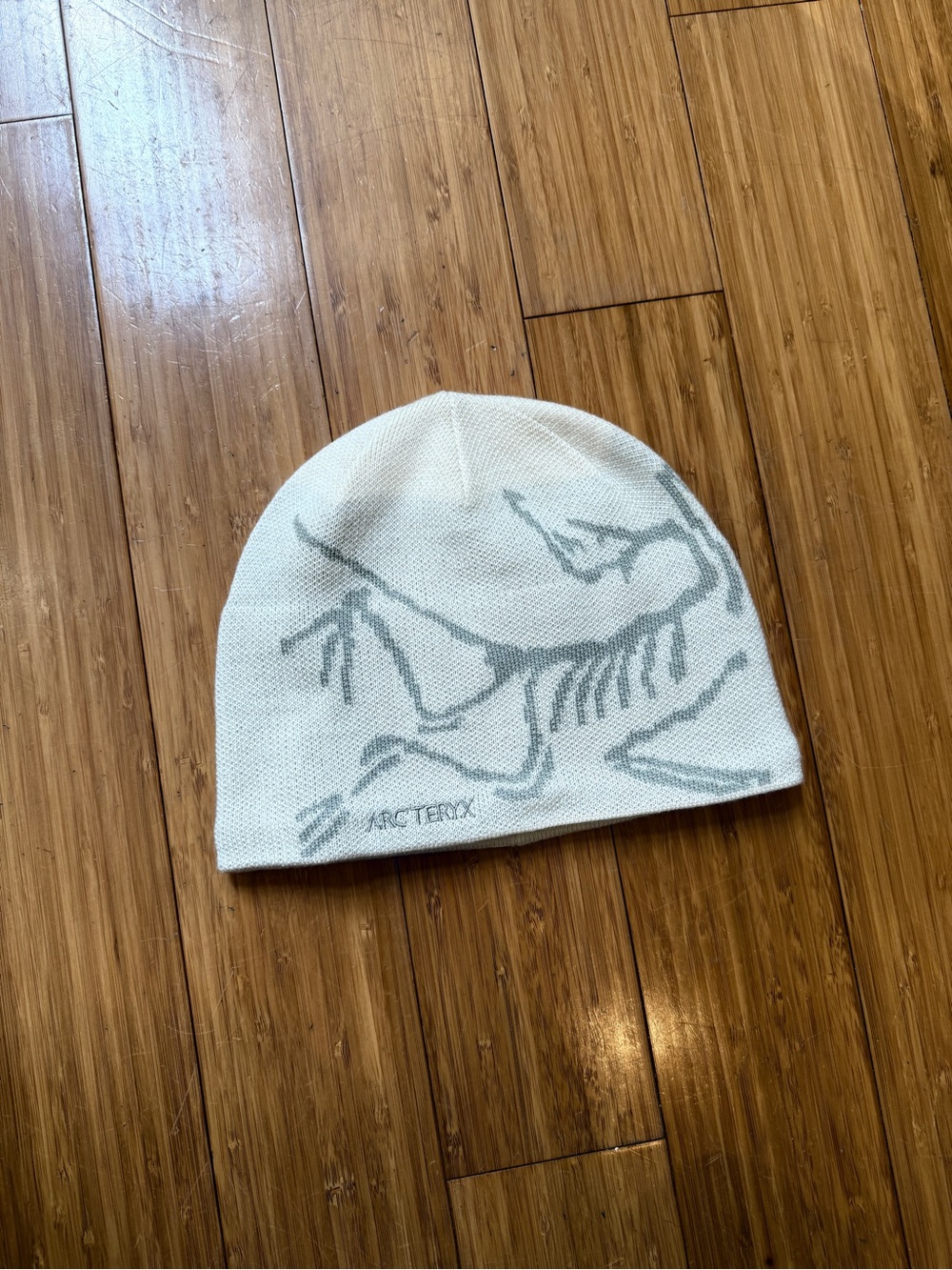 Arc'teryx Bird Head Toque